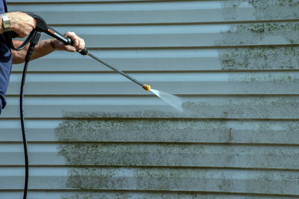Best Pool Deck Cleaning  in Cadiz, OH